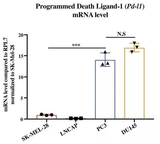 癌细胞竟然会偷袭T细胞指挥部！科学家找到反制办法