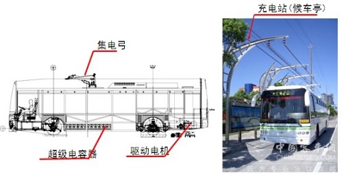 让你过敏的“露天弹幕”到底咋对付？