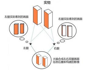 平面变立体，3D电影是怎么“欺骗”你的？