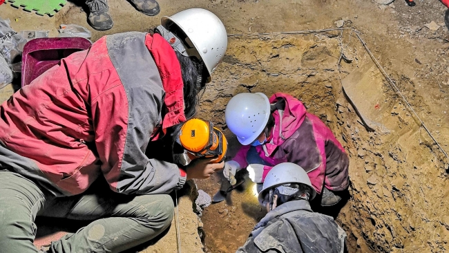 “夏河人”现身远古智人16万年前已登上青藏高原