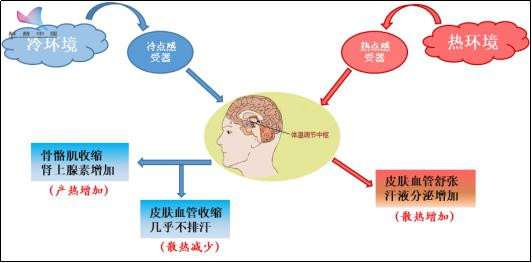 我穿大袄你穿裙 是什么让彼此活在两个季节？