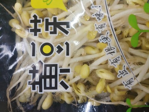 豆芽比豆子更营养吗？